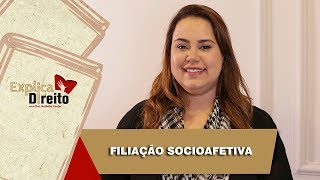 Explica Direito Filiação Socioafetiva  2019 [upl. by Shellans]