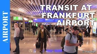 TRANSIT WALK AT FRANKFURT Airport FRA Terminal 1  Connection Flight Transfer Arriving amp Departing [upl. by Aniat]